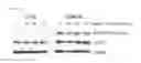 Fig. 06 - Methods and compositions for treating cancer using peptide nucleic acid-based agents