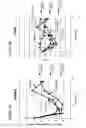 Fig. 11 - TMPRSS6 iRNA compositions and methods of use thereof