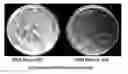 Fig. 01 - ENHANCED PROCESSES AND REAGENTS FOR HOST ENGINEERING