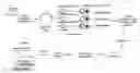 Fig. 01 - Plasmid vector for expressing a PVT1 exon and method for constructing standard curve therefor