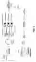 Fig. 03 - Plasmid vector for expressing a PVT1 exon and method for constructing standard curve therefor