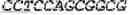 Fig. 04 - WHEAT