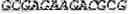 Fig. 05 - WHEAT
