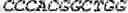 Fig. 08 - WHEAT