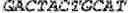 Fig. 09 - WHEAT