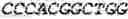 Fig. 14 - WHEAT