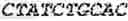 Fig. 22 - WHEAT