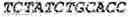 Fig. 28 - WHEAT