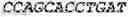 Fig. 29 - WHEAT