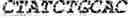 Fig. 34 - WHEAT