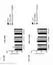 Fig. 12 - Transcription modulation in animals using CRISPR/Cas systems