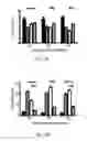 Fig. 04 - Methods of treating or preventing pyruvate kinase deficiency