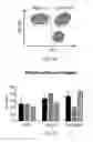 Fig. 07 - Methods of treating or preventing pyruvate kinase deficiency
