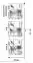 Fig. 08 - Methods of treating or preventing pyruvate kinase deficiency
