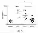 Fig. 16 - Methods of treating or preventing pyruvate kinase deficiency