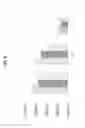 Fig. 07 - REVERSE GENETICS USING NON-ENDOGENOUS POL I PROMOTERS