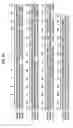 Fig. 11 - REVERSE GENETICS USING NON-ENDOGENOUS POL I PROMOTERS