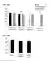 Fig. 12 - REVERSE GENETICS USING NON-ENDOGENOUS POL I PROMOTERS