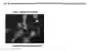 Fig. 15 - EHV with inactivated UL18 and/or UL8