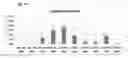 Fig. 17 - EHV with inactivated UL18 and/or UL8