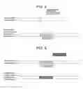 Fig. 04 - GENOME EDITING METHOD