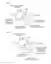 Fig. 02 - Methods and compositions for RNA-directed target DNA modification and for RNA-directed modulation of transcription