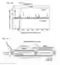 Fig. 101 - Methods and compositions for RNA-directed target DNA modification and for RNA-directed modulation of transcription