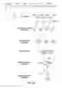 Fig. 111 - Methods and compositions for RNA-directed target DNA modification and for RNA-directed modulation of transcription