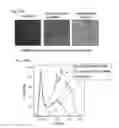 Fig. 125 - Methods and compositions for RNA-directed target DNA modification and for RNA-directed modulation of transcription