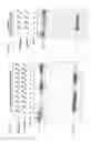 Fig. 15 - Methods and compositions for RNA-directed target DNA modification and for RNA-directed modulation of transcription