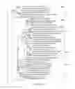Fig. 62 - Methods and compositions for RNA-directed target DNA modification and for RNA-directed modulation of transcription