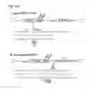 Fig. 71 - Methods and compositions for RNA-directed target DNA modification and for RNA-directed modulation of transcription
