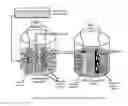 Fig. 02 - Bio-assisted process for conversion of mixed volatile fatty acids to selective drop-in fuels