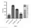 Fig. 08 - Mutant thioesterases