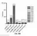 Fig. 10 - Mutant thioesterases