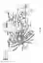 Fig. 20 - Mutant thioesterases