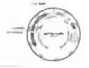 Fig. 01 - Mutant microorganism for producing L-cysteine and method for producing L-cysteine using same