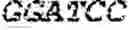 Fig. 04 - Mutant microorganism for producing L-cysteine and method for producing L-cysteine using same