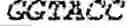 Fig. 09 - Mutant microorganism for producing L-cysteine and method for producing L-cysteine using same