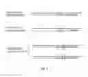 Fig. 08 - Stoichiometric nucleic acid purification using randomer capture probe libraries