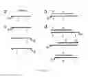 Fig. 12 - Stoichiometric nucleic acid purification using randomer capture probe libraries