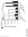 Fig. 10 - Compositions and methods for rapid in vitro synthesis of bioconjugate vaccines in vitro via production and N-glycosylation of protein carriers in detoxified prokaryotic cell lysates