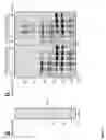 Fig. 13 - Compositions and methods for rapid in vitro synthesis of bioconjugate vaccines in vitro via production and N-glycosylation of protein carriers in detoxified prokaryotic cell lysates