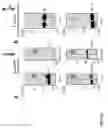 Fig. 18 - Compositions and methods for rapid in vitro synthesis of bioconjugate vaccines in vitro via production and N-glycosylation of protein carriers in detoxified prokaryotic cell lysates