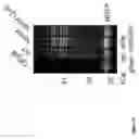 Fig. 19 - Compositions and methods for rapid in vitro synthesis of bioconjugate vaccines in vitro via production and N-glycosylation of protein carriers in detoxified prokaryotic cell lysates