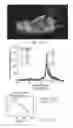 Fig. 19 - Nanoparticle transducer sensors and methods of use thereof