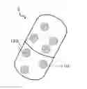 Fig. 01 - Nucleic acid sample-contained container, method and apparatus for producing nucleic acid sample-contained container, non-transitory recording medium storing program for producing nucleic acid sample-contained container, and nucleic acid sample