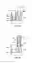 Fig. 20 - SYSTEM AND METHOD FOR CONDUCTING AN ASSAY