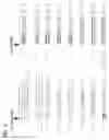 Fig. 02 - PLURALITY OF TRANSPOSASE ADAPTERS FOR DNA MANIPULATIONS