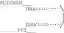 Fig. 18 - Methods of lowering the error rate of massively parallel DNA sequencing using duplex consensus sequencing